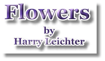 flowers by harry leichter